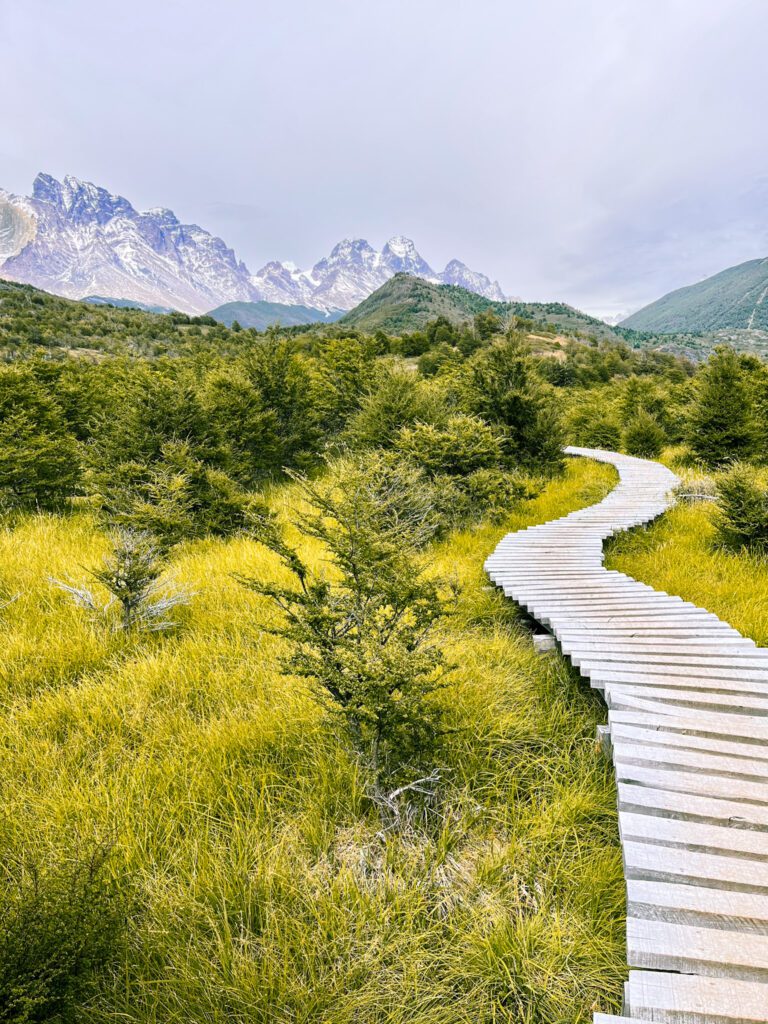 a hiking trail in patagonia