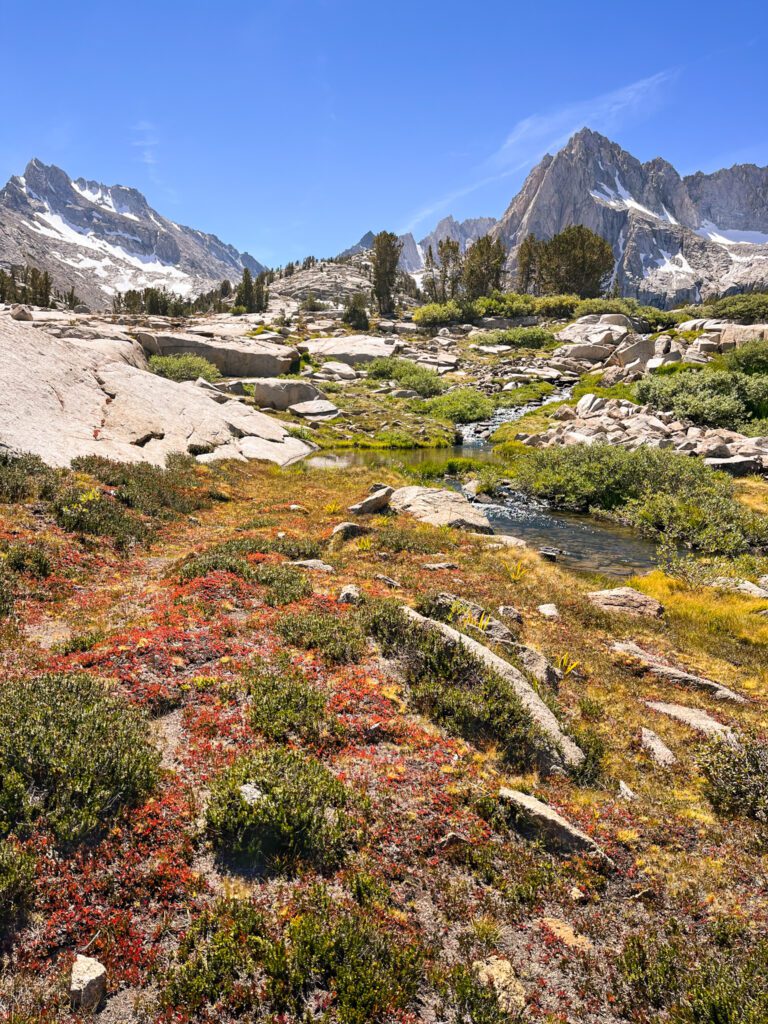 a colorful meadow on the hungry packer lake hiking trail in california's eastern sierra mountains