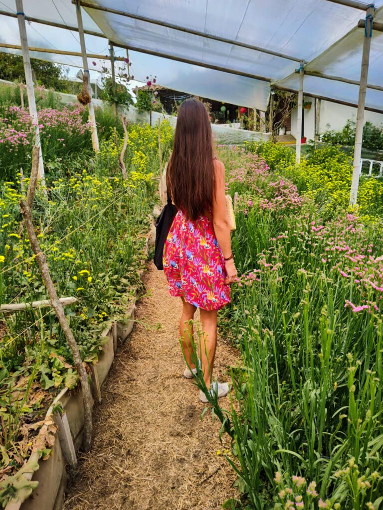 a traveler with a minimalist packing list wears a red dress in a flower field.