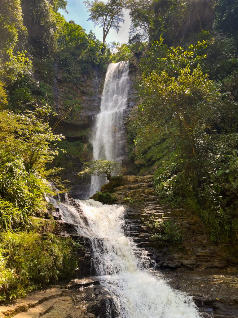 a tall, two-tier waterfall in a tropical area of colombia