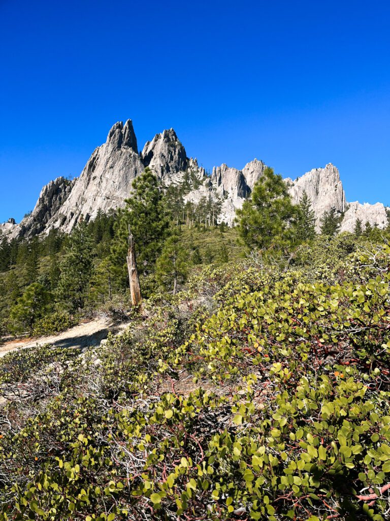 granite craggy peaks emerge from a forest.