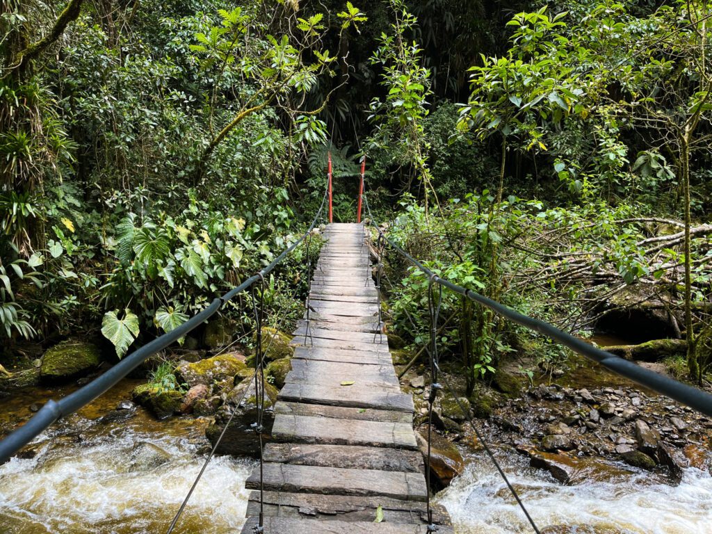 a suspension bridge across a river on the valle de cocora hiking trail