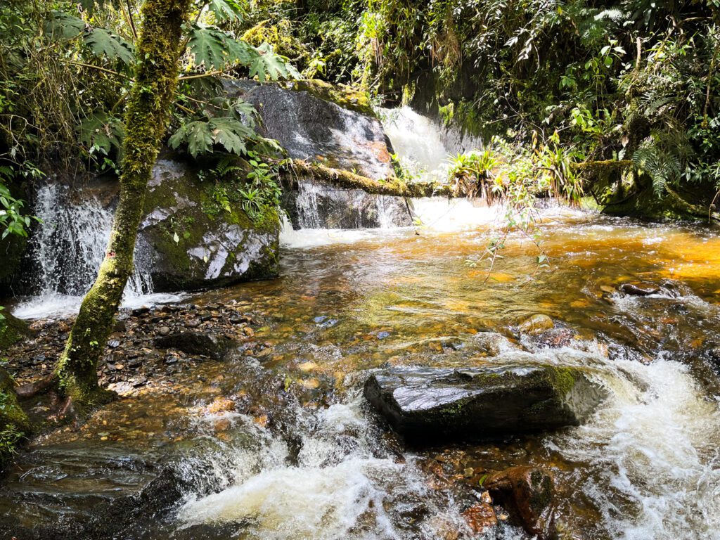 a small waterfall in the forest seen on a hiking trail in colombia