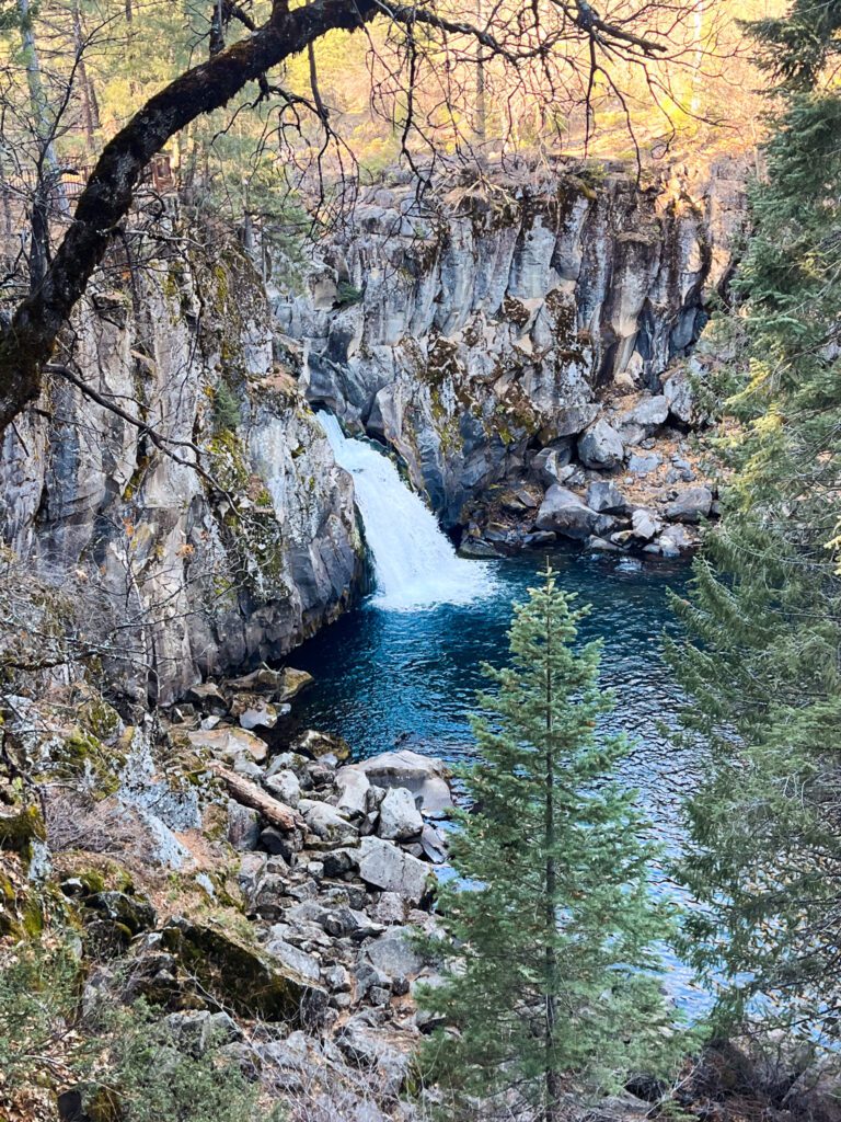 a waterfall emerging from a basalt column gorge in the forest