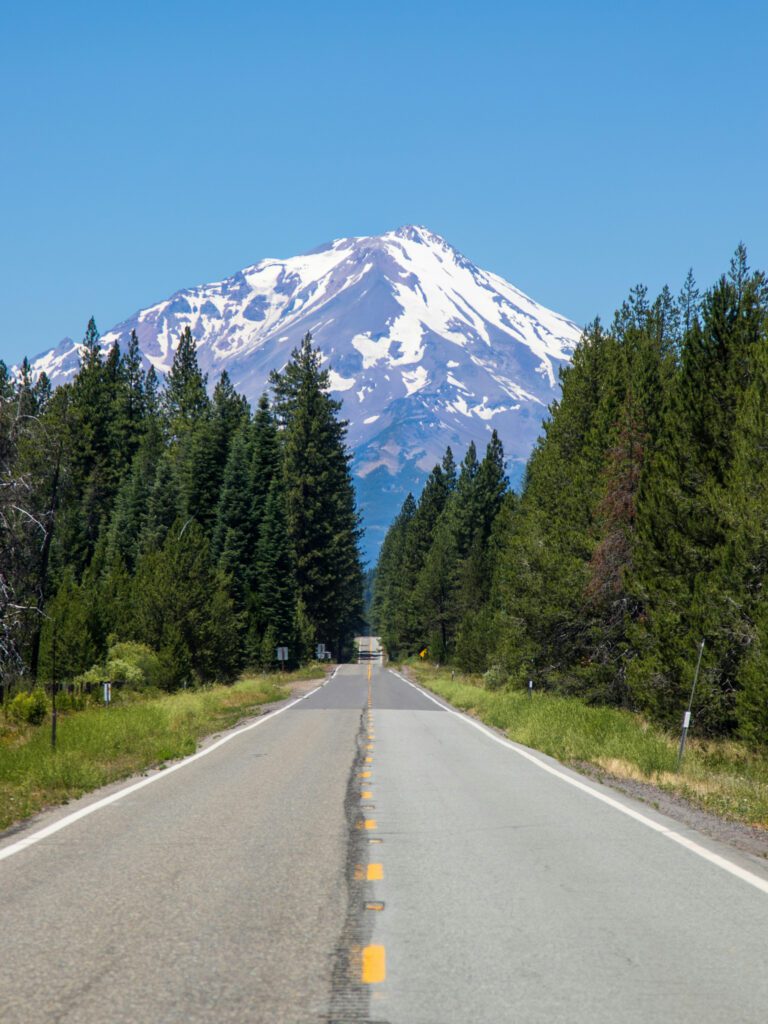 snowy mount shasta as seen from a road through the forest