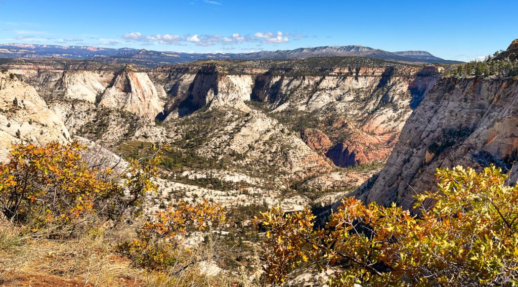 a canyon seen on the west rim trail in zion