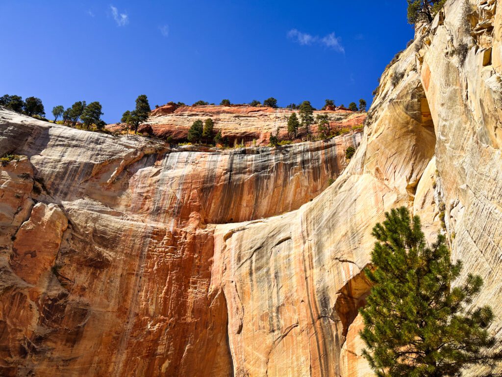 a sandstone cliff on the west rim trail in zion, utah