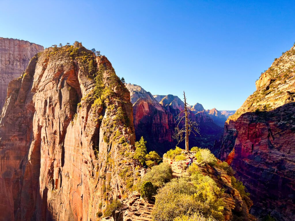 a view of angels landing from scout lookout, zion