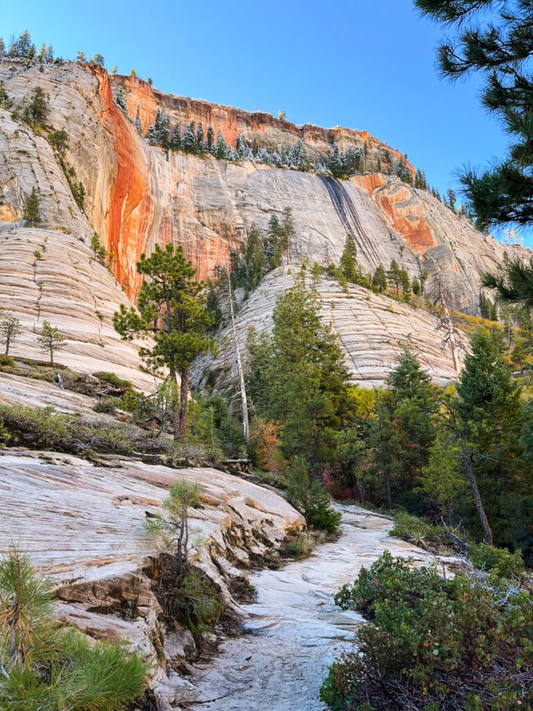 sandstone cliffs on the west rim trail in zion