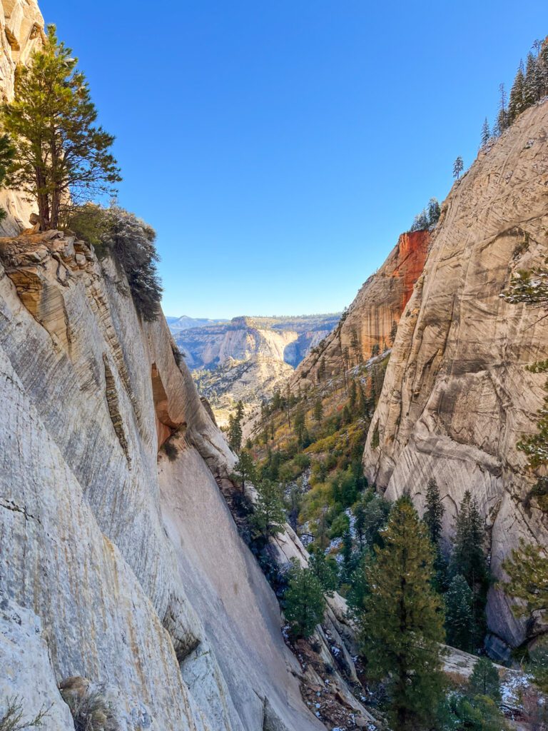 a hiking trail along a sandstone cliff in zion, utah