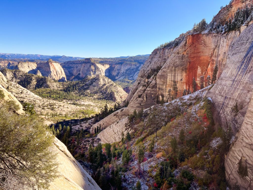 a canyon seen on the west rim trail in zion