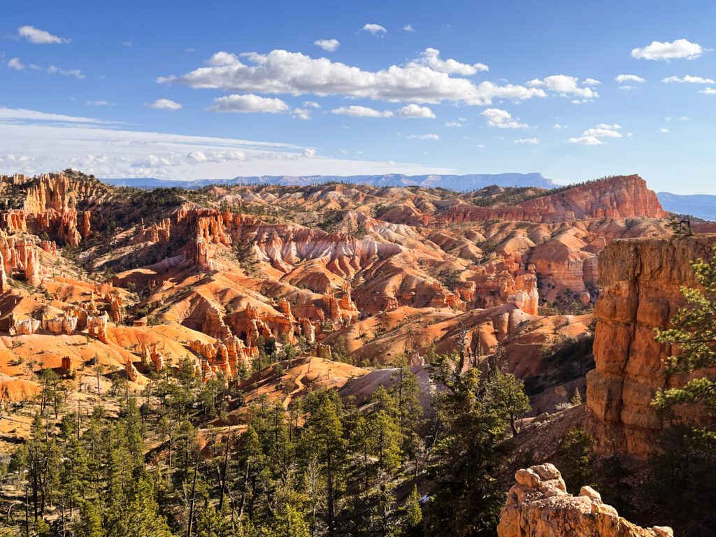 a viewpoint on a bryce canyon hike