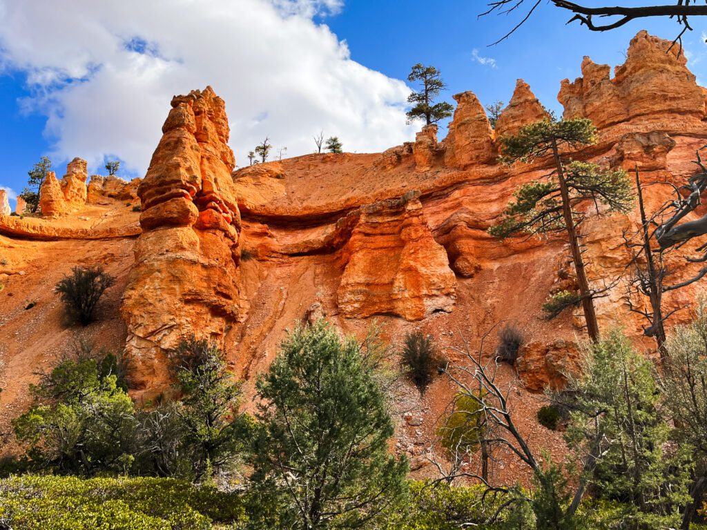 orange rock formations on a hiking trail in bryce canyon national park