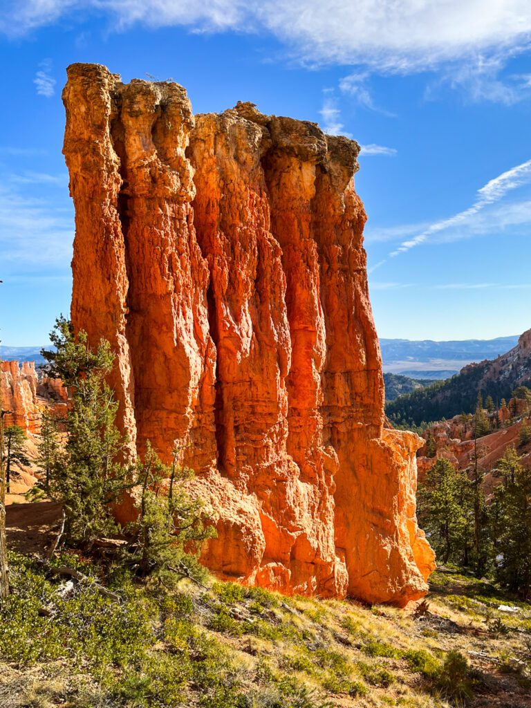 scenery on a hike in bryce canyon