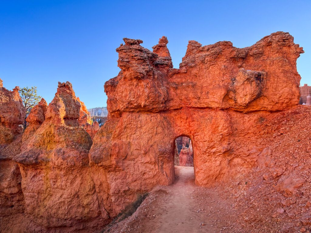 a tunnel carved into red rock on a bryce canyon hiking trail