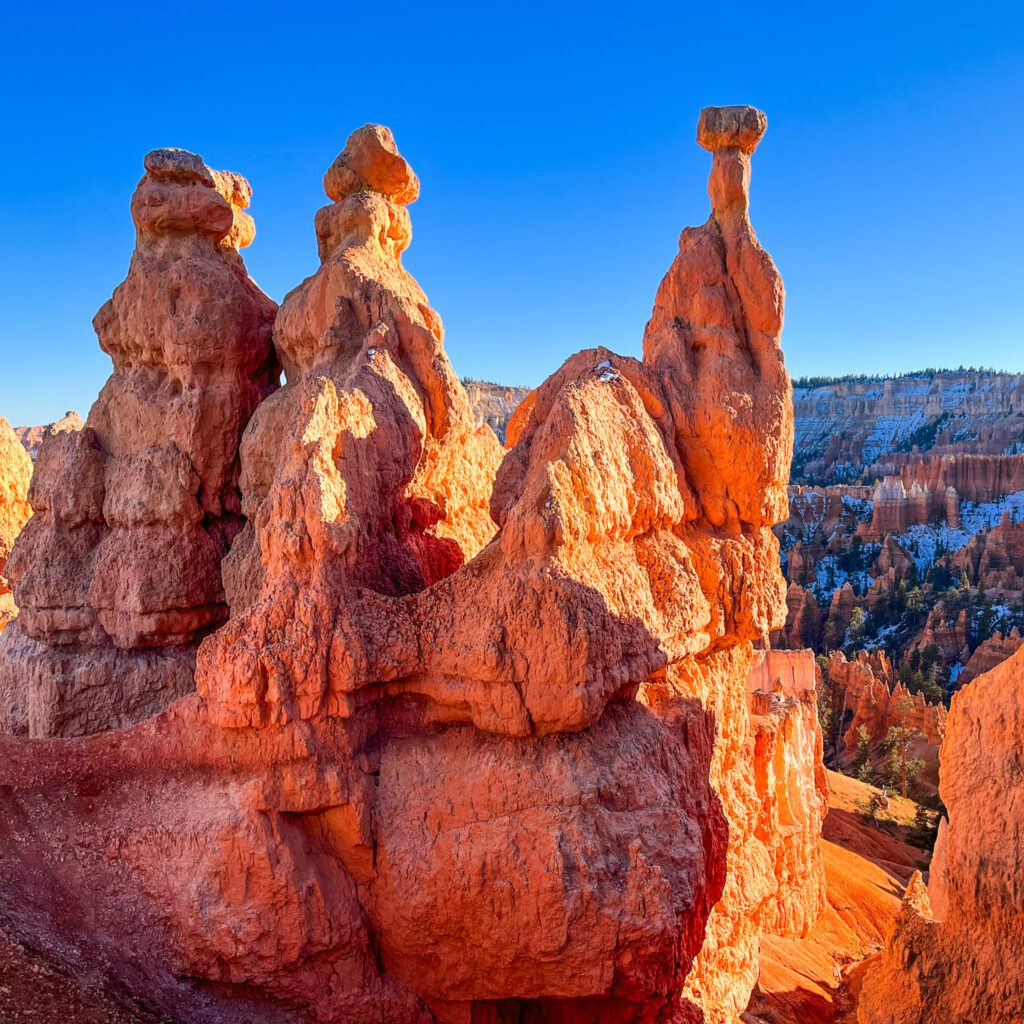 distinctive hoodoo rock formation on a hiking trail in bryce canyon