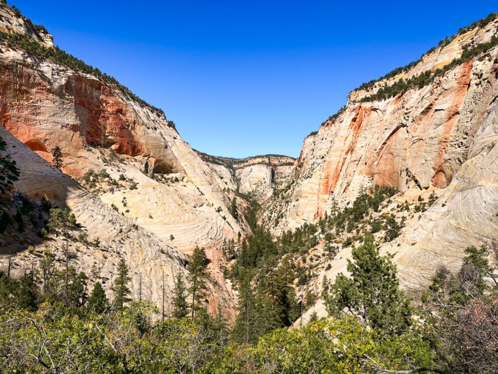 a view overlooking a canyon between sandstone cliffs