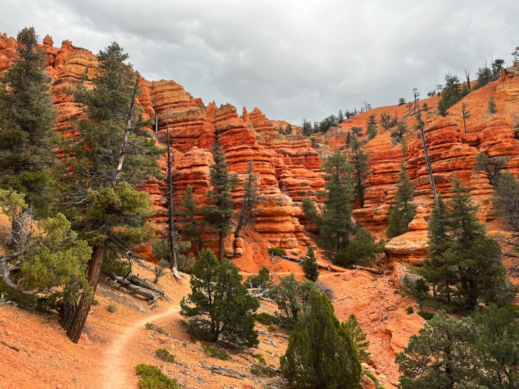 a trail through red rock formations in red canyon park