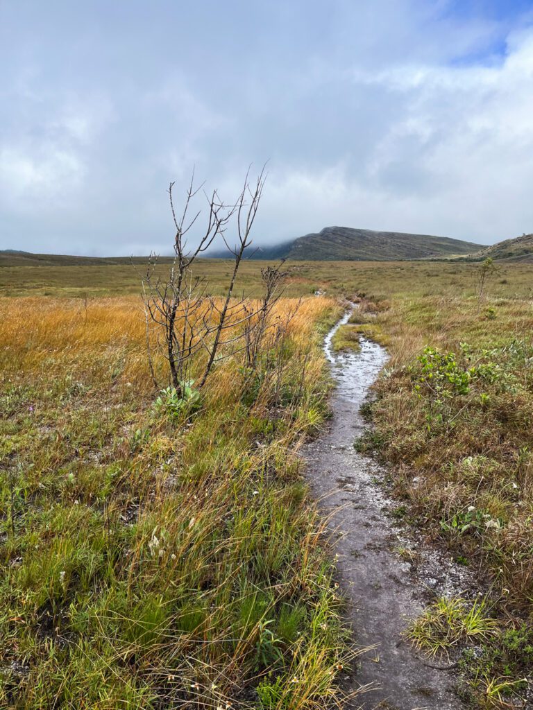 a flooded hiking trail through the plains of chapada diamantina