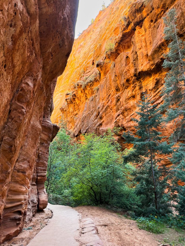 a trail through a canyon on the angels landing hike in zion