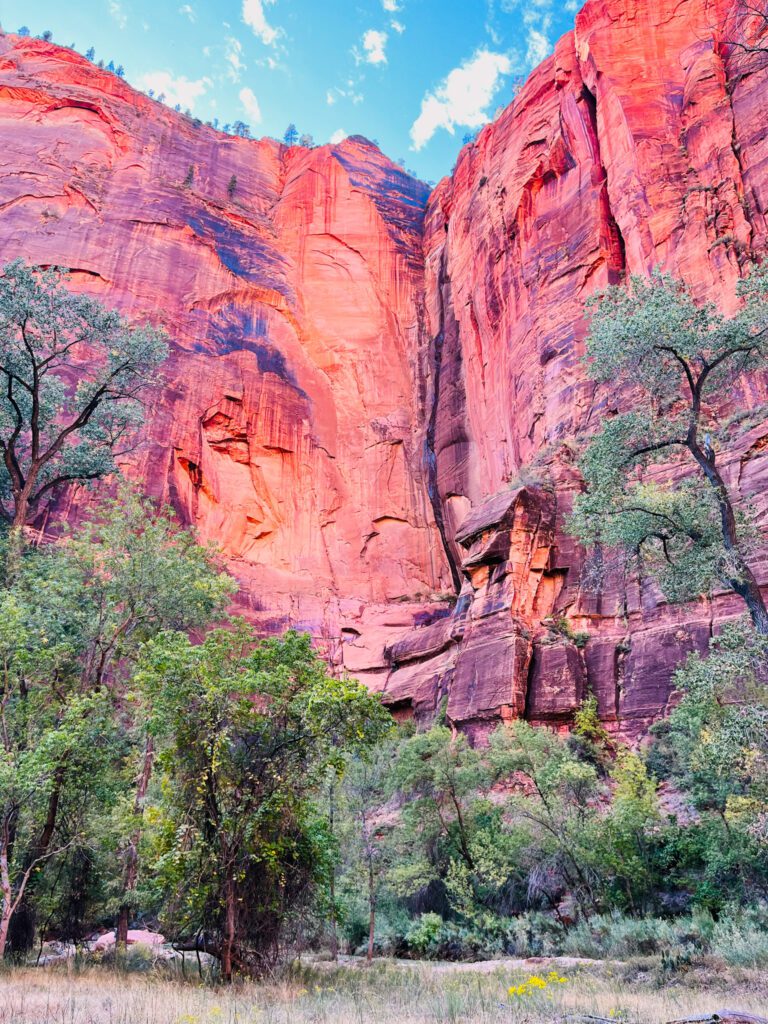 a steep sandstone cliff as seen on a zion hike