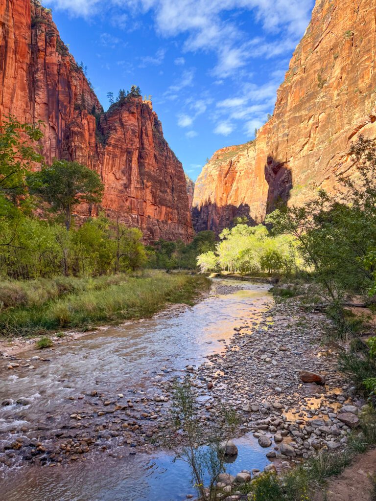 a hiking trail in zion along a river in a canyon