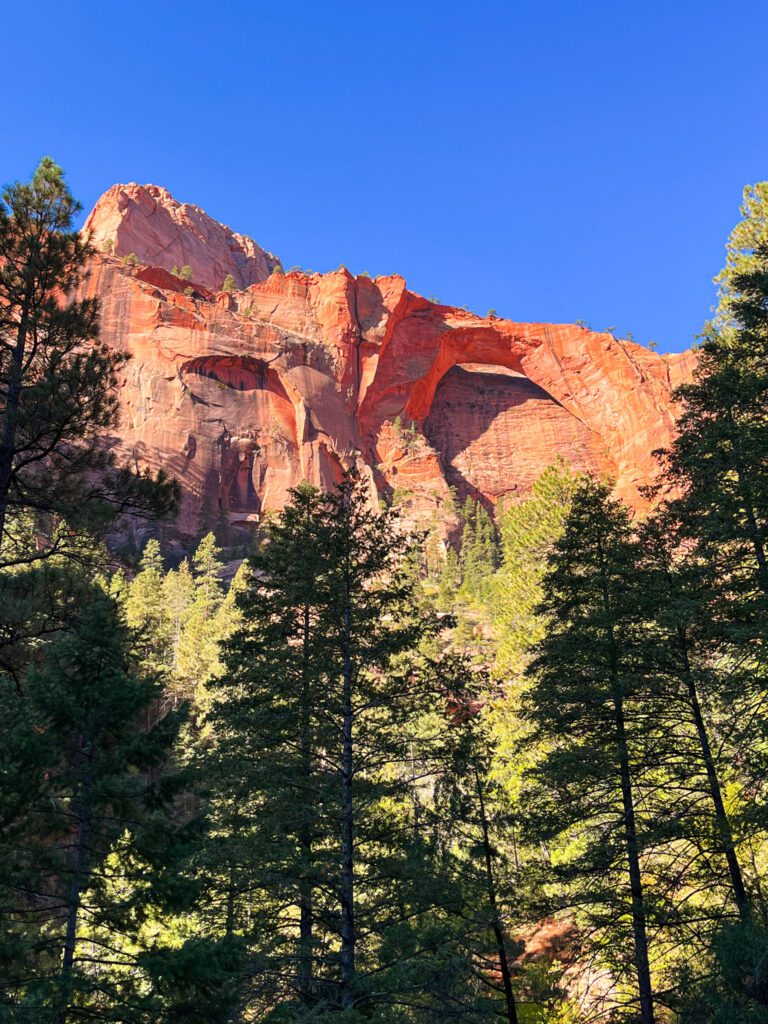 the kolob arch in zion national park