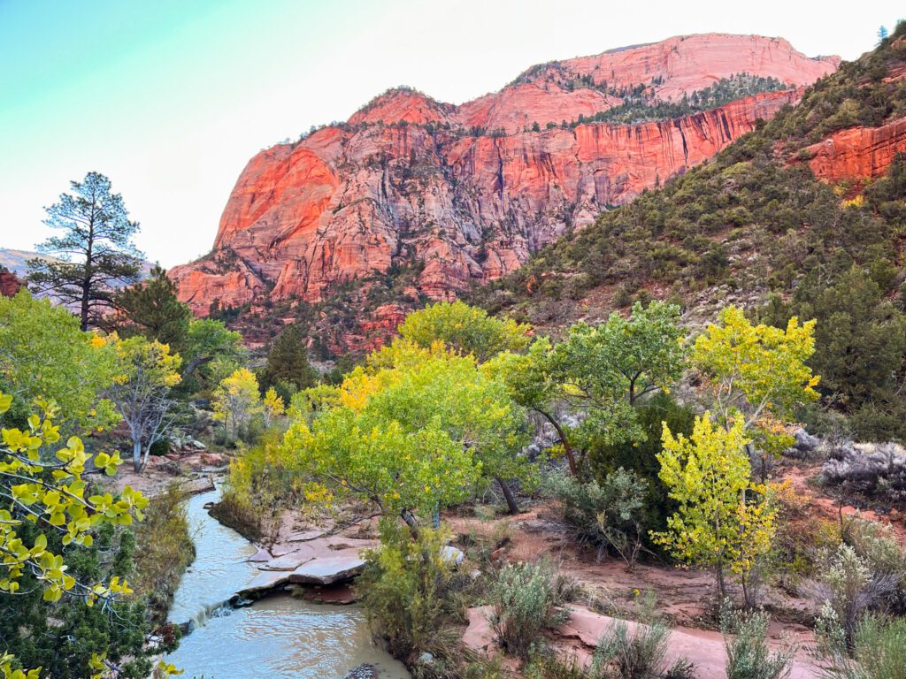 a creek running next to a hiking trail in zion, utah