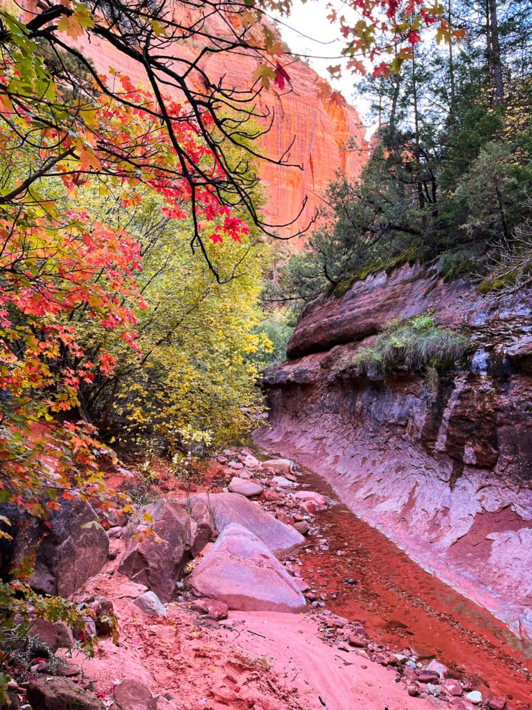 a creek along the trail to kolob arch in zion