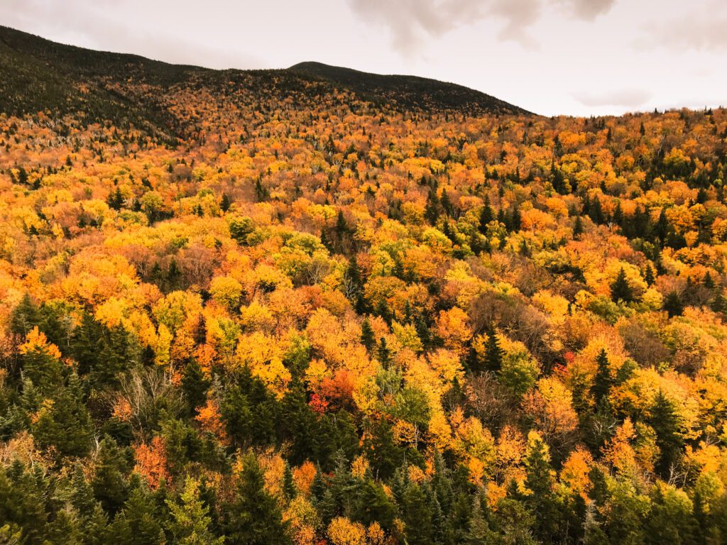 saving money for traveling by enjoying a free fall hike to see yellow and orange foliage