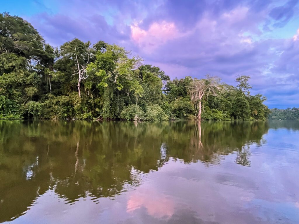 a lake in the amazon jungle of peru, as visited on a budget travel trip