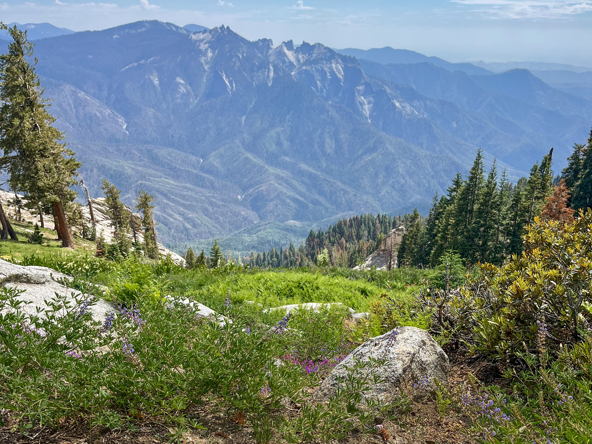 Hiking the Alta Peak Trail 2024 Guide (Sequoia National Park)