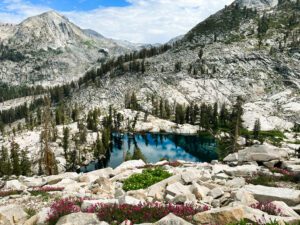 An alpine lake surrounded by wildflowers and rugged mountains on the Lakes Trail in Sequoia National Park.