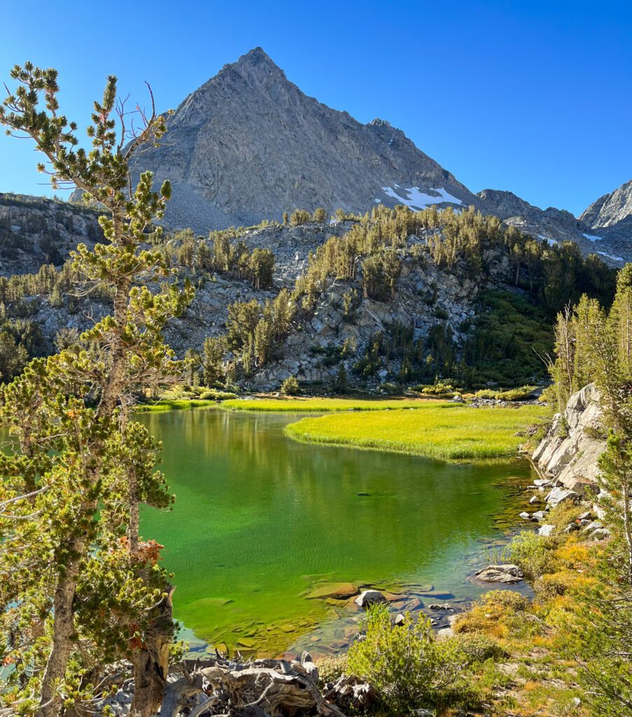 a green alpine lake on the little lakes valley hike in california's eastern sierra mountains