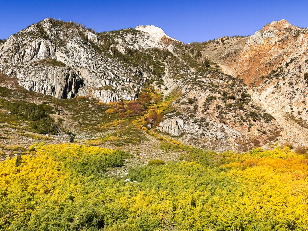 Tall, craggy mountains along the mcgee creek trail and the fall foliage at their base.