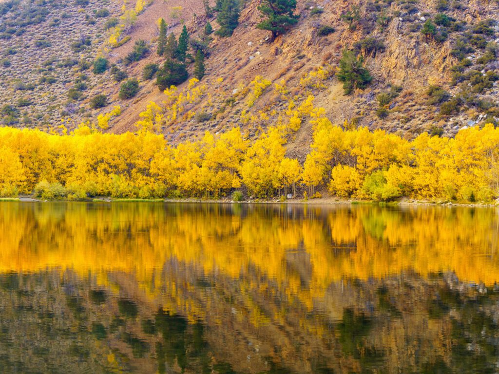 A lake with intensely colored fall foliage on its shore.