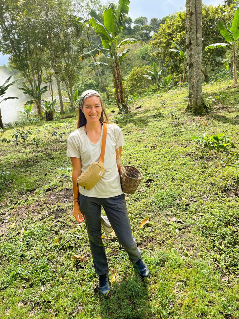 a solo female traveler collecting coffee beans in salento, colombia