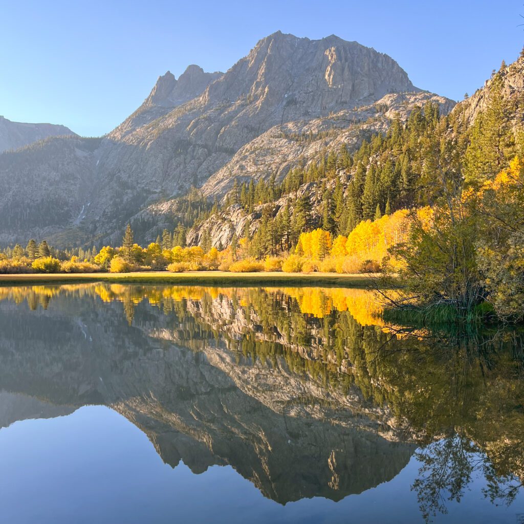 california fall colors at silver lake, a lake lined with golden aspens, and a mountain peak reflected perfectly in the water.