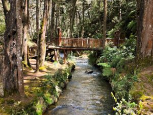 a wooden bridge across a river in parque arvi, medellin