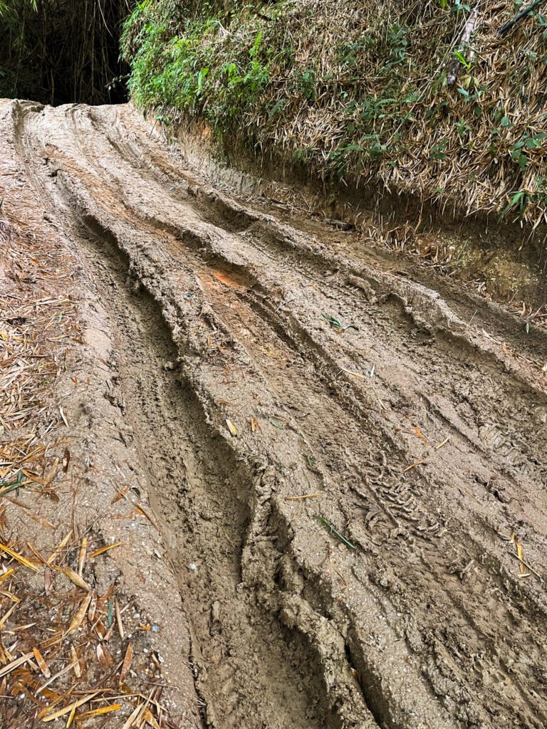a muddy mountain road
