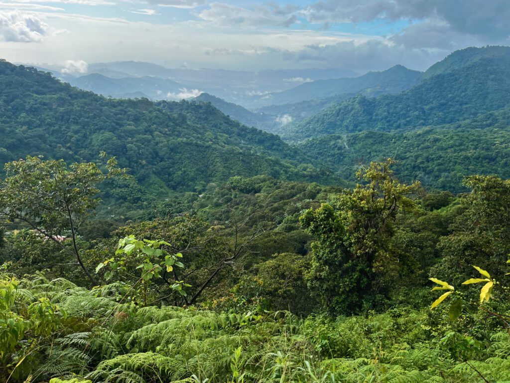 a viewpoint overlooking tropical mountains in colombia