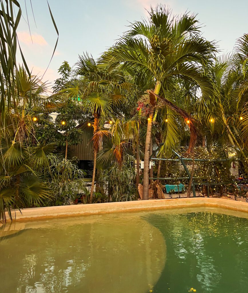 a pool with palm trees at a good hostel
