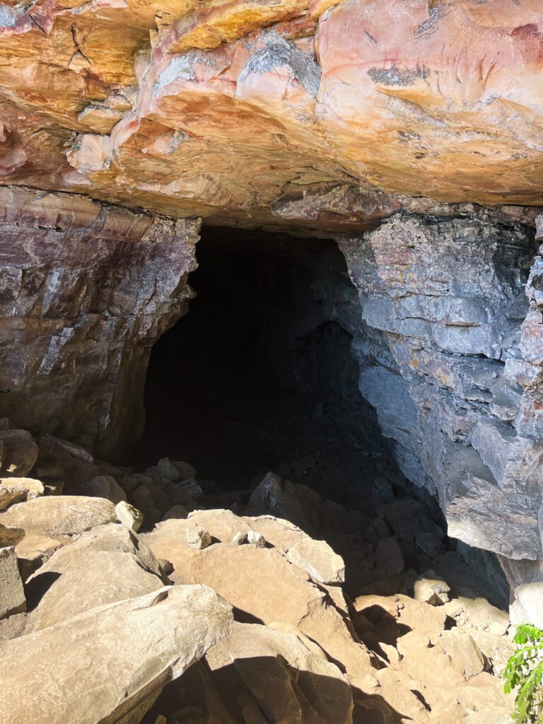 the entrance of a cave