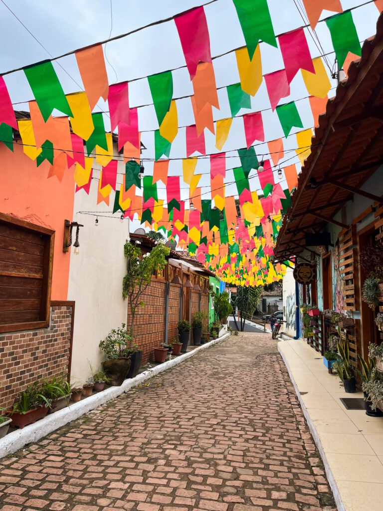 a street in the town of vale do capao, brazil